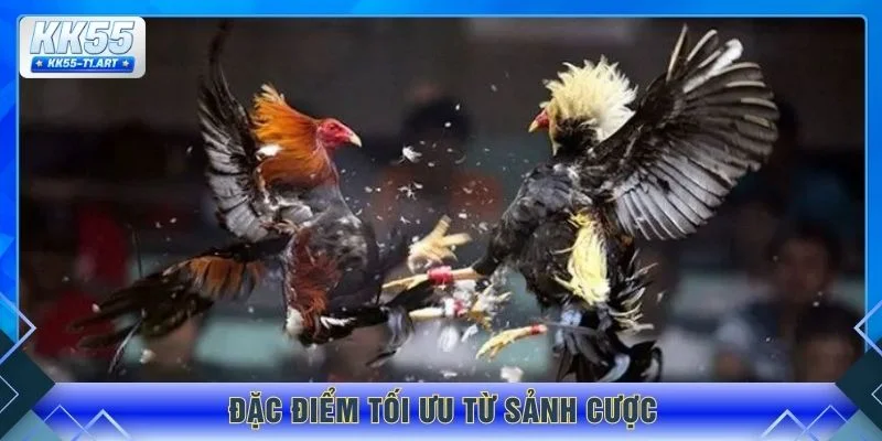 Đặc điểm tối ưu từ sảnh cược